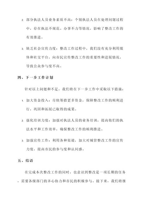 城管扫黑除恶整改情况汇报