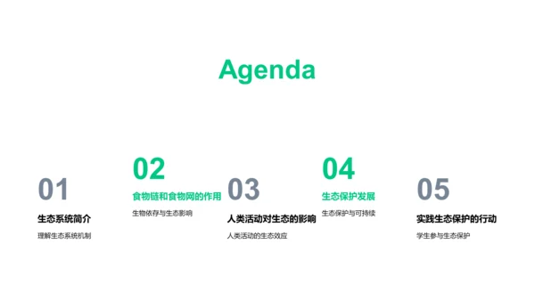 生态平衡的原理