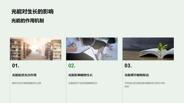植物生长的秘密