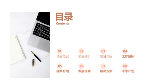 简约欧美风粉色工作汇报计划书PPT