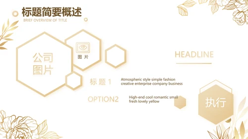 公司品牌营销策划方案工作总结PPT