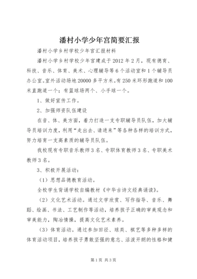 潘村小学少年宫简要汇报.docx