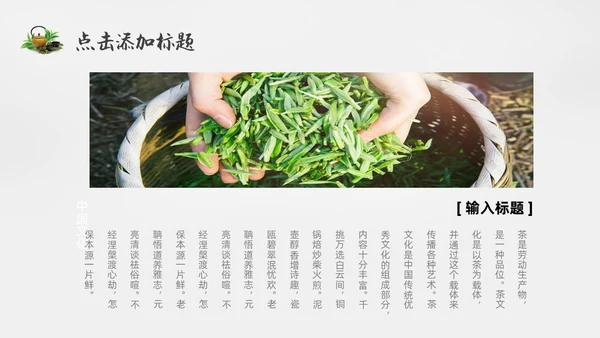 绿色实拍风茶文化通用PPT模板中国传统文化