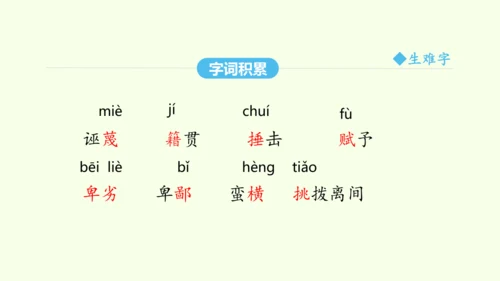 第13课 最后一次讲演 统编版语文八年级下册 同步精品课件