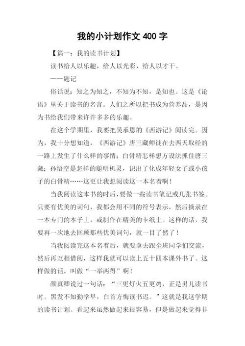 我的小计划作文400字.docx