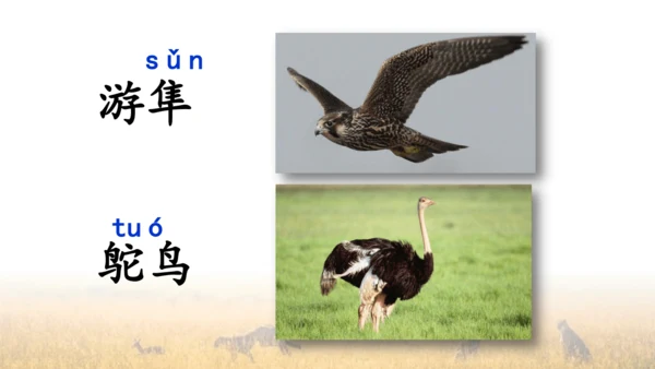 7 什么比猎豹的速度更快 第一课时 课件