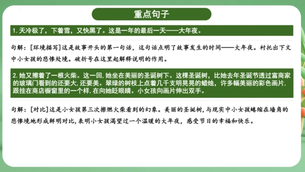 统编版2024三年级语文上册第三单元复习   课件