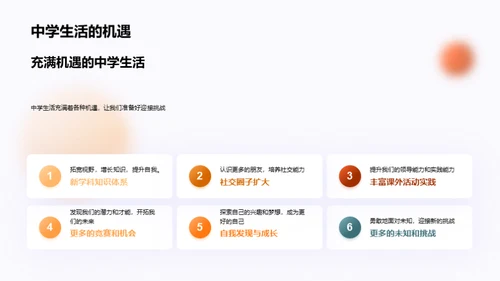 跨越小学的巅峰