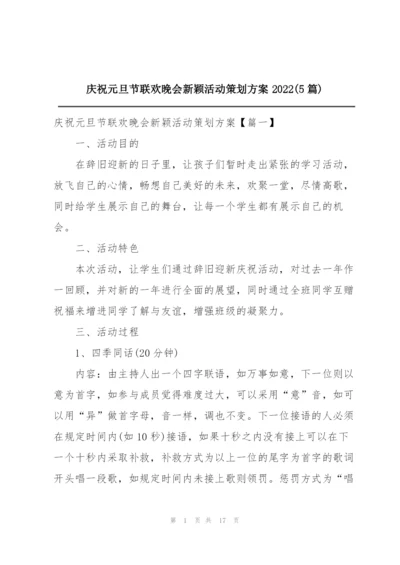 庆祝元旦节联欢晚会新颖活动策划方案2022(5篇).docx