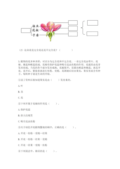 科学四年级下册第一单元植物的生长变化测试卷【夺冠系列】.docx