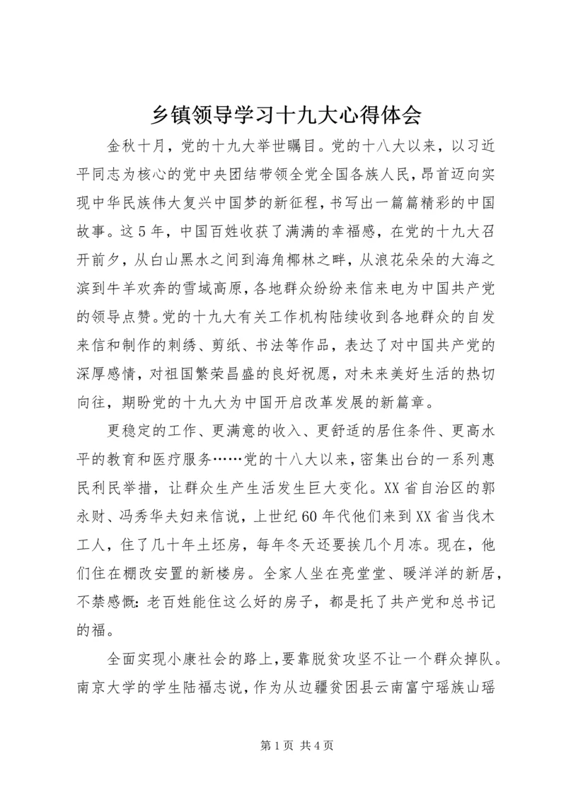 乡镇领导学习十九大心得体会.docx