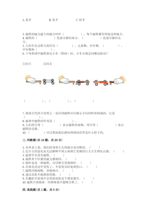 教科版二年级下册科学期末测试卷及完整答案【典优】.docx