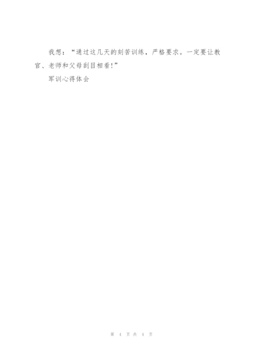 小学生三年级军训心得体会300字3篇.docx