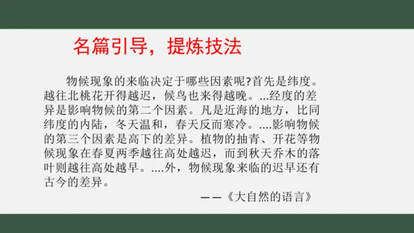 八年级下册语文第二单元 写作：说明的顺序 课件（共25张PPT）