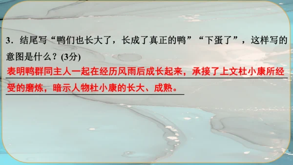 17《孤独之旅》课件