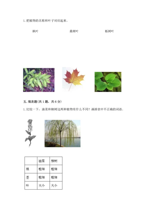 教科版科学一年级上册期末测试卷及答案（新）.docx