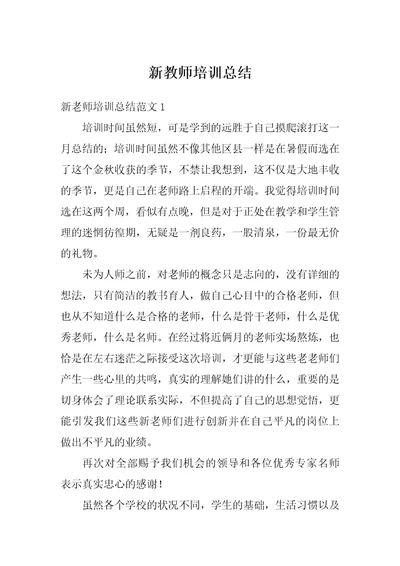 新教师培训总结