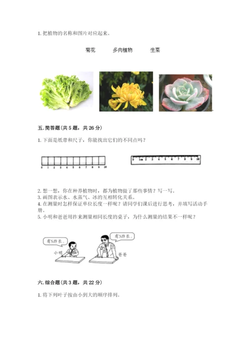 教科版一年级上册科学期末测试卷【典优】.docx