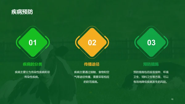 绿色现代养殖流程管理与疾病预防PPT模板