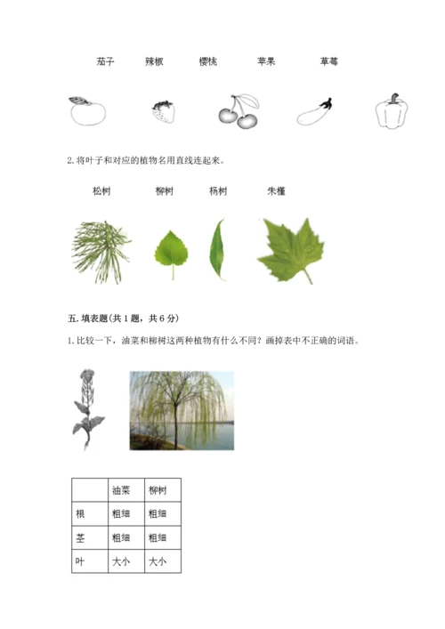 教科版科学一年级上册第一单元《植物》测试卷及参考答案（a卷）.docx