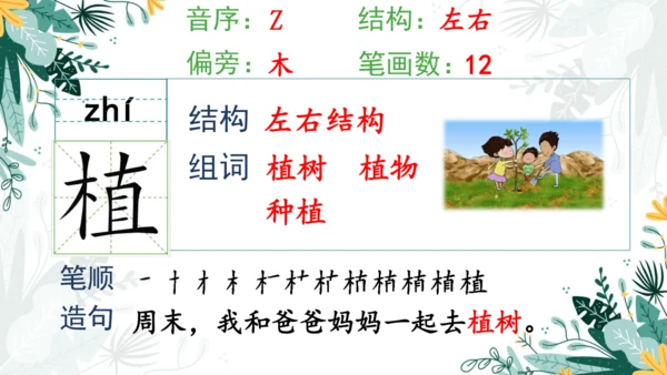 4.邓小平爷爷植树（第一课时）  课件