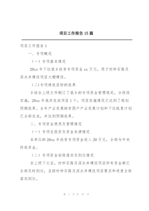 项目工作报告15篇.docx