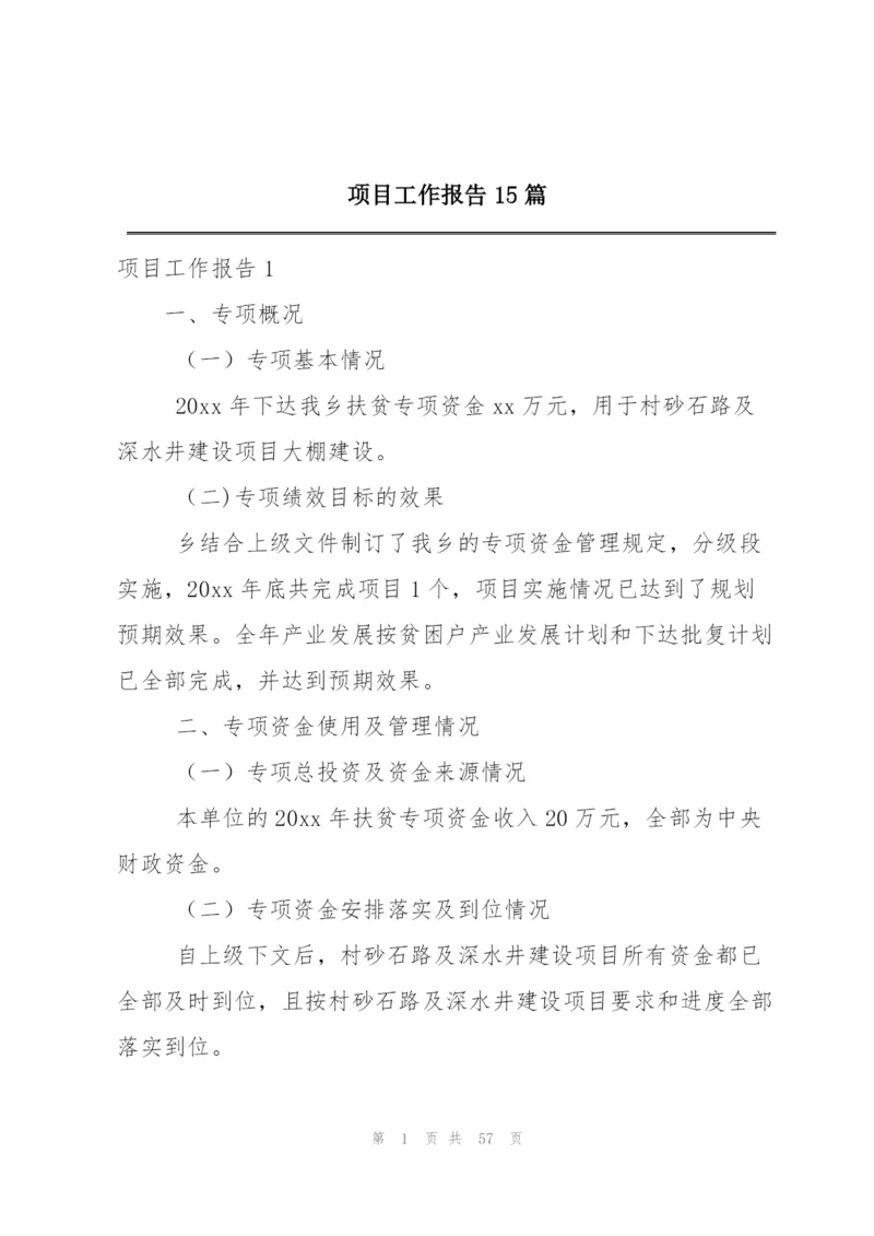 项目工作报告15篇.docx