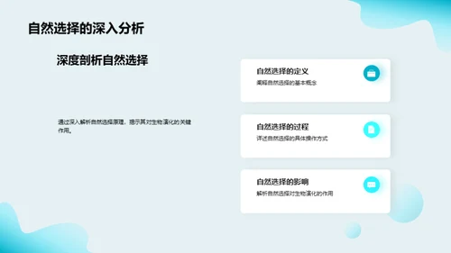 探索生物演化之谜