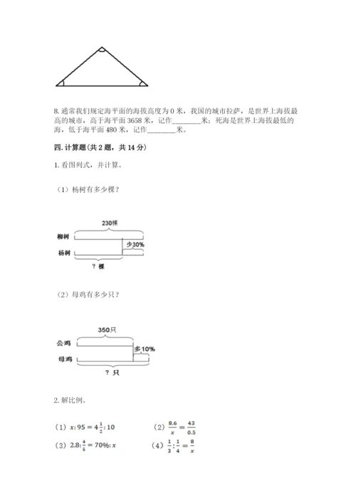 岱山县六年级下册数学期末测试卷精品含答案.docx