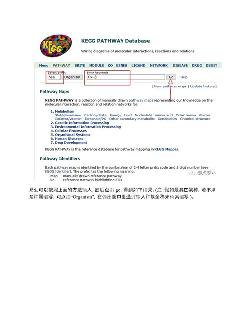 KEGGpathway介绍及其使用方法。