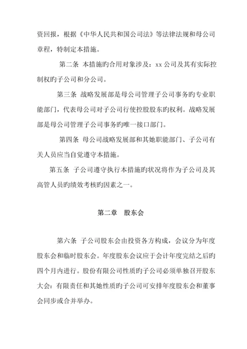 分公司管理新版制度.docx