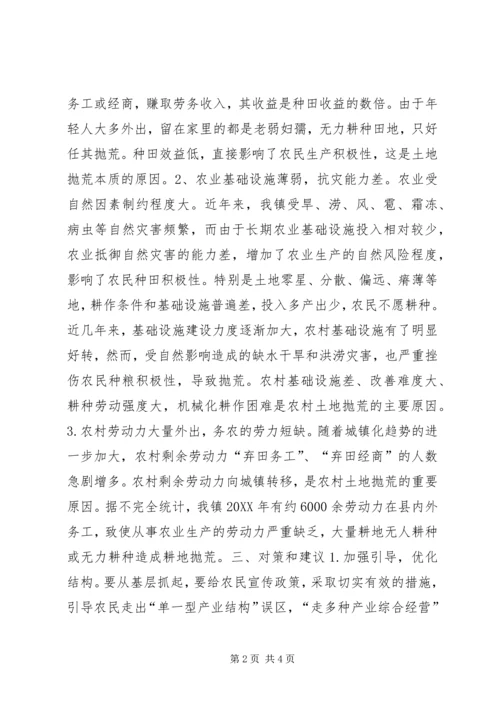 土地抛荒情况调研报告.docx