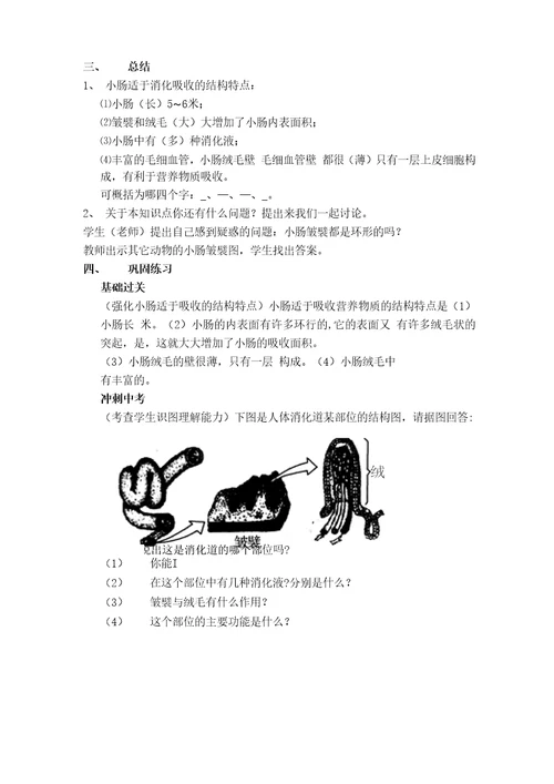 微课小肠适于消化和吸收的结构特点