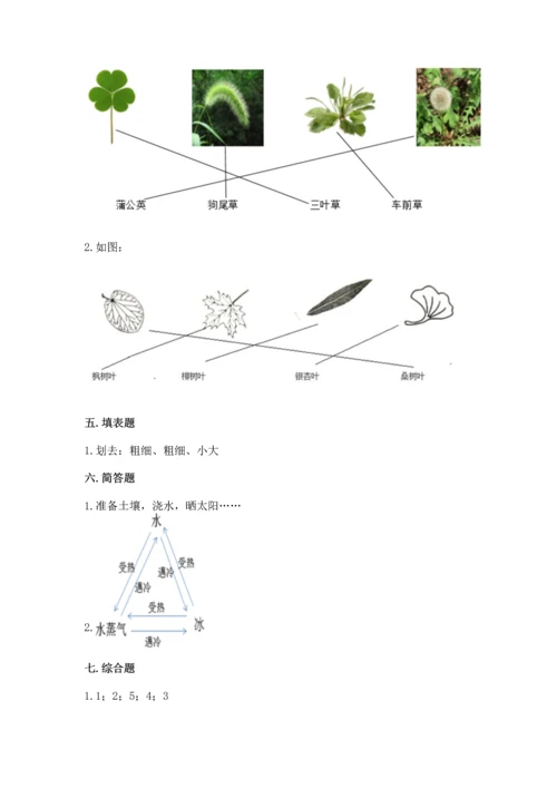 教科版科学一年级上册第一单元《植物》测试卷含答案【基础题】.docx