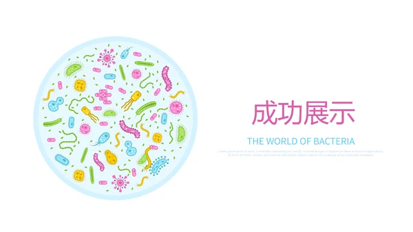 生物学细菌细胞动态PPT