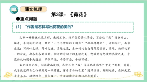 统编版三年级语文下册同步高效课堂系列第一单元（复习课件）