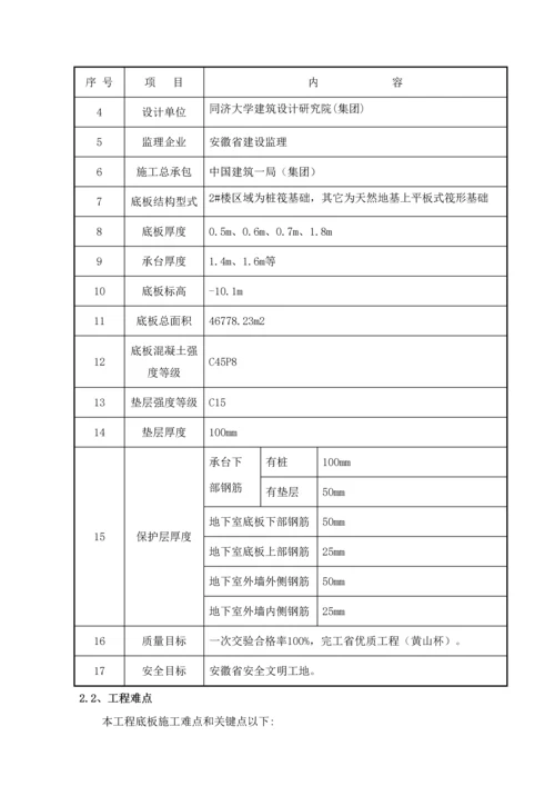 基础底板综合标准施工专业方案.docx