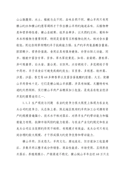 溢香羊肉加工重点技术改造专项项目可行性专题研究报告.docx