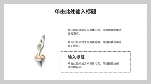 简约实景教学教育ppt模板