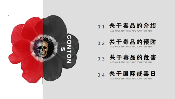 青少年禁毒宣传安全教育通用PPT模板