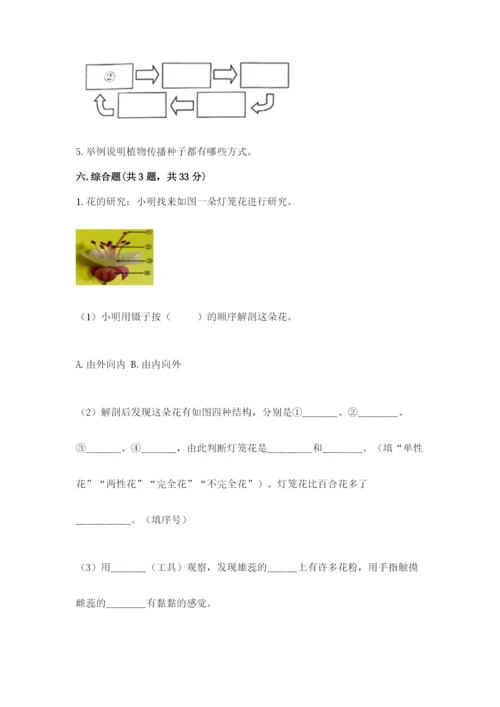 教科版科学四年级下册第一单元《植物的生长变化》测试卷含答案（巩固）.docx