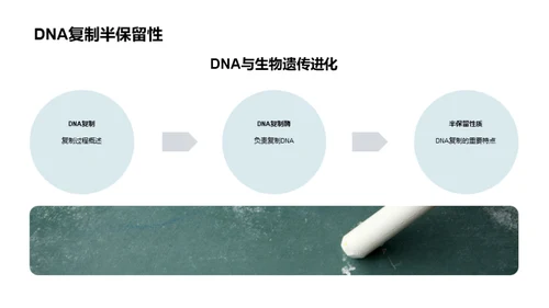 解读DNA：生命密码