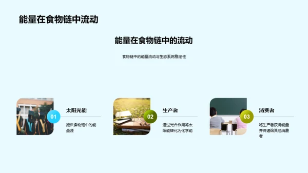 深度解析食物链