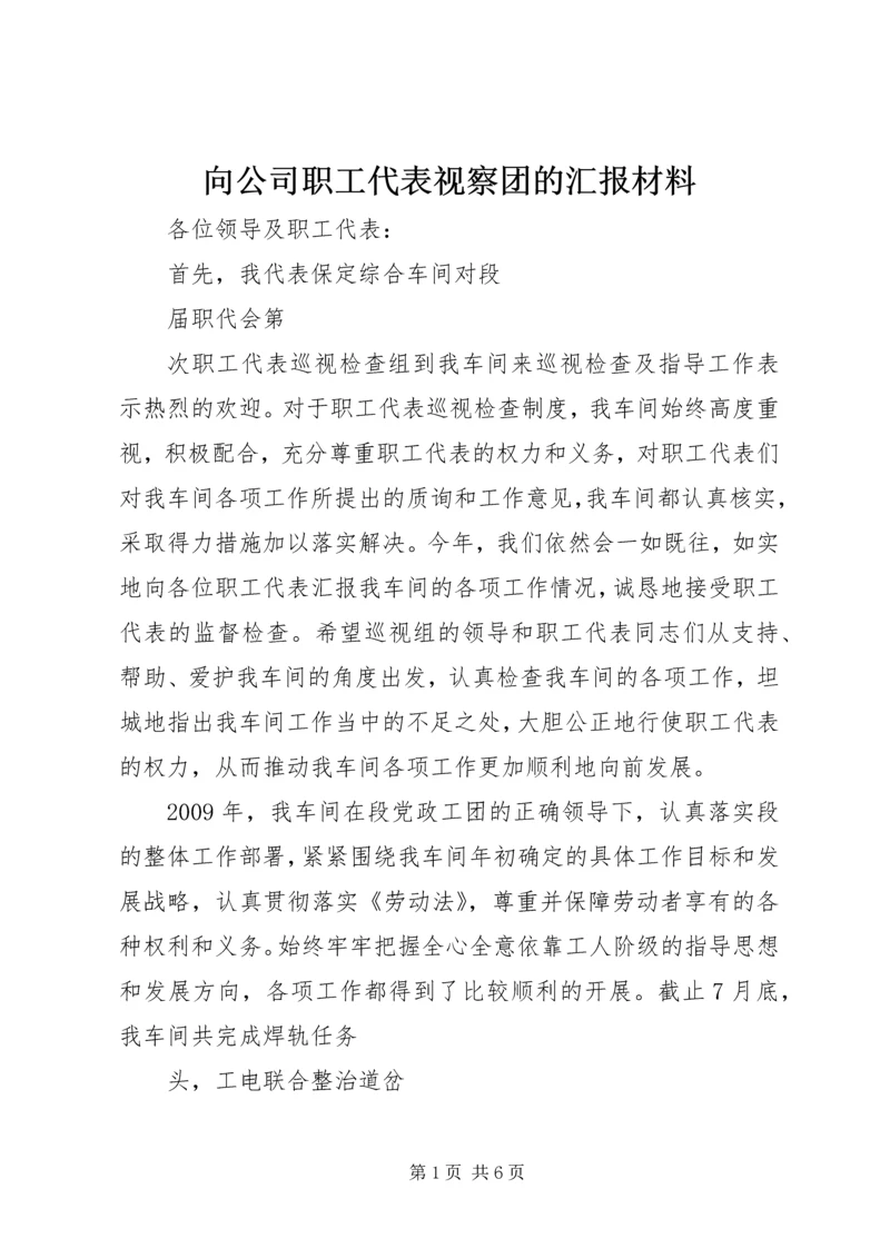 向公司职工代表视察团的汇报材料 (2).docx