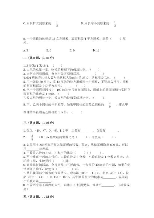 苏教版六年级数学小升初试卷【典优】.docx