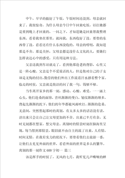 什么的那一刻作文600字初中