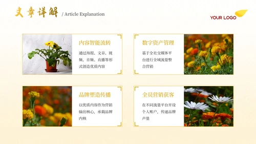 黄色古代文学诗词赏析PPT模板