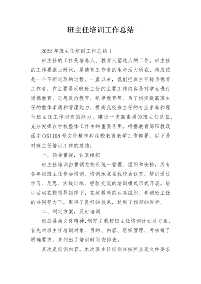 班主任培训工作总结.docx