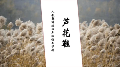 【核心素养】部编版语文四年级下册-21.芦花鞋（课件）