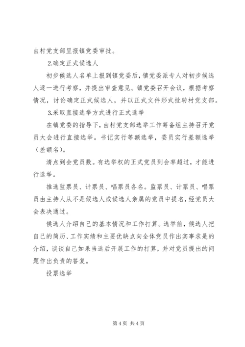 镇村党支部换届选举工作实施方案 (4).docx